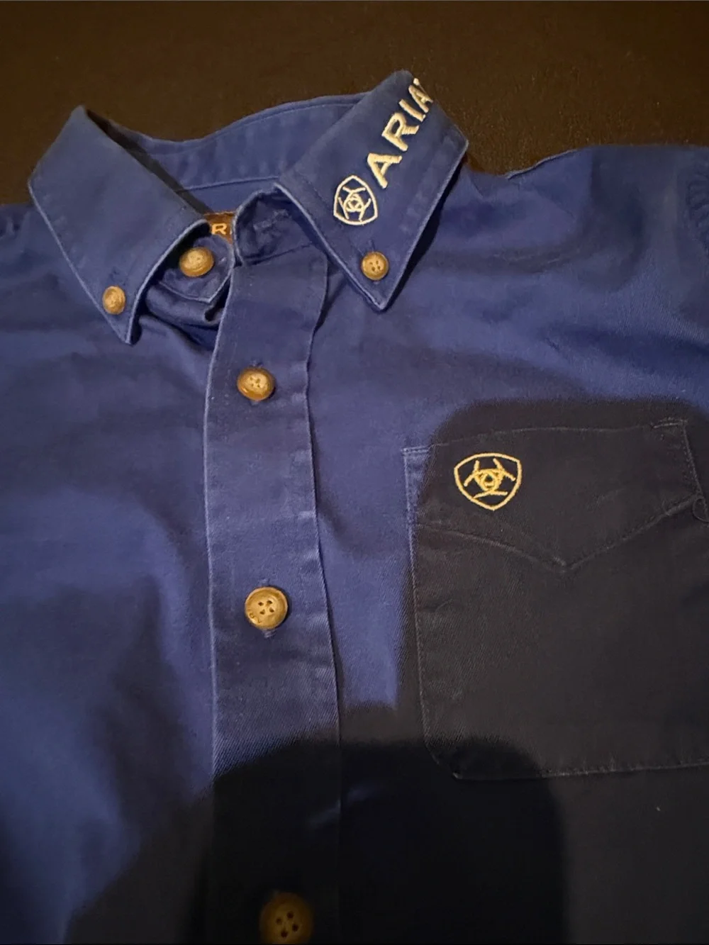Ariat Men's Button-Down Shirt — Blue with White Logo